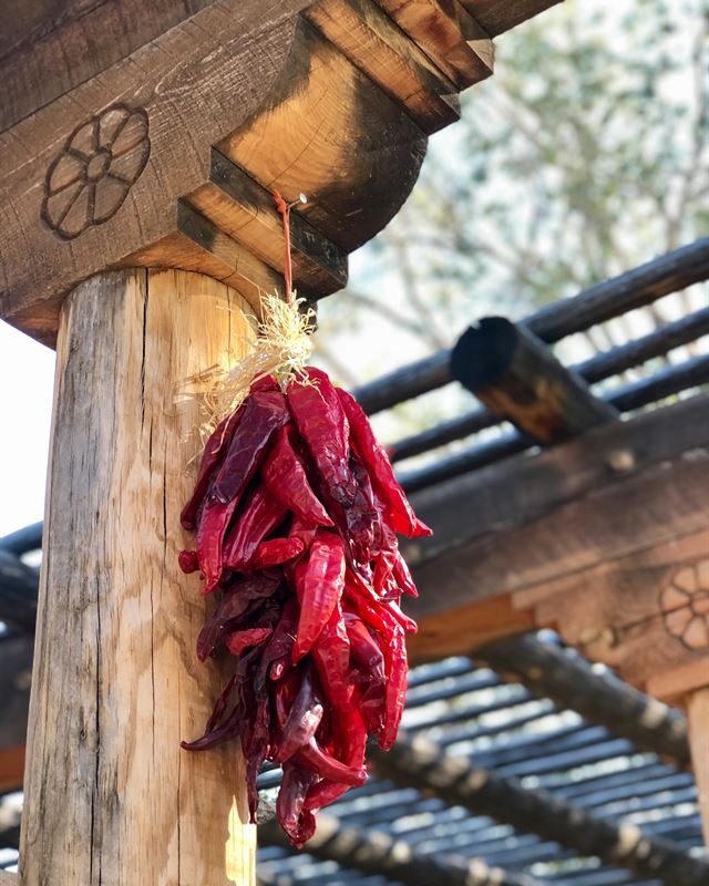 Bundle of dried red chilies hung from a wooden hanok beam