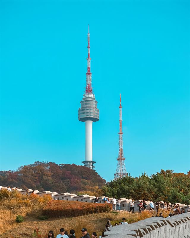 N Seoul Tower above a field of silver grass in autumn
